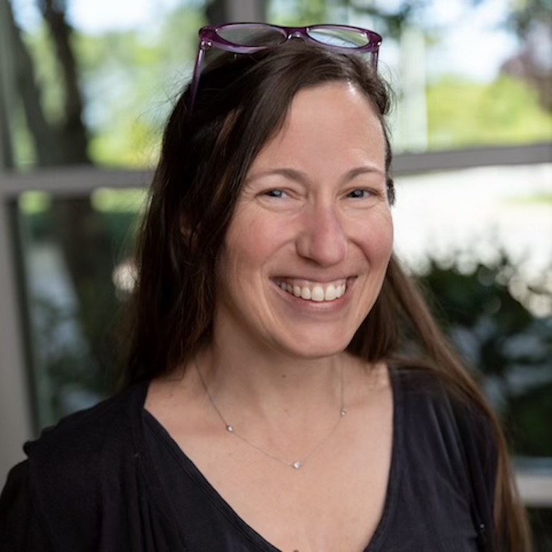 Professor Brandi Simonsen
