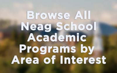 Explore All Neag School Programs by Area of Interest