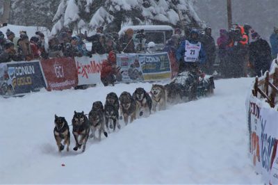 Musher Nicolas Petit on the Iditarod trail with his dog team.