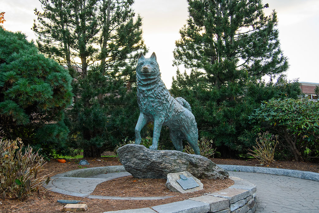UConn husky statue. [Current issue of the Journal.]